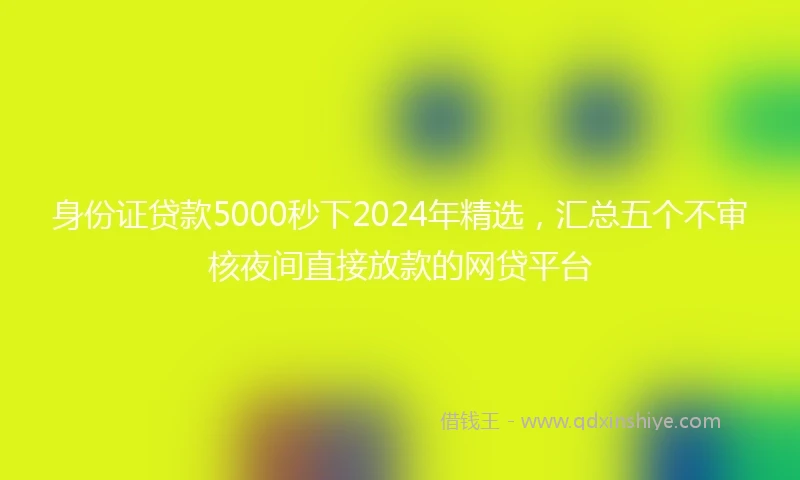 身份证贷款5000秒下2024年精选，汇总五个不审核夜间直接放款的网贷平台