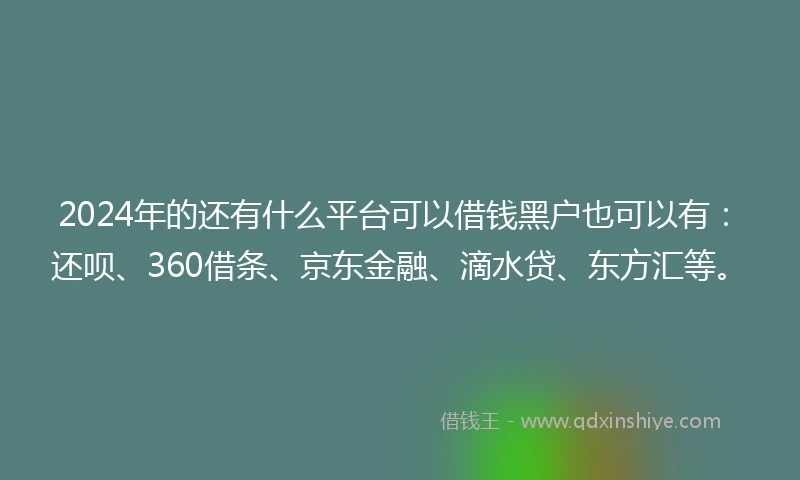 2024年的还有什么平台可以借钱黑户也可以有：还呗、360借条、京东金融、滴水贷、东方汇等。