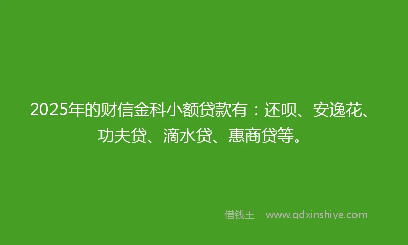 2025年的财信金科小额贷款有：还呗、安逸花、功夫贷、滴水贷、惠商贷等。