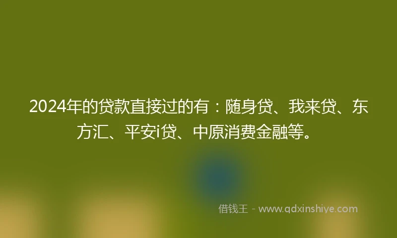 2024年的贷款直接过的有：随身贷、我来贷、东方汇、平安i贷、中原消费金融等。