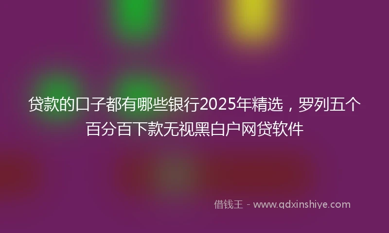 贷款的口子都有哪些银行2025年精选,罗列五个百分百下款无视黑白户网贷软件