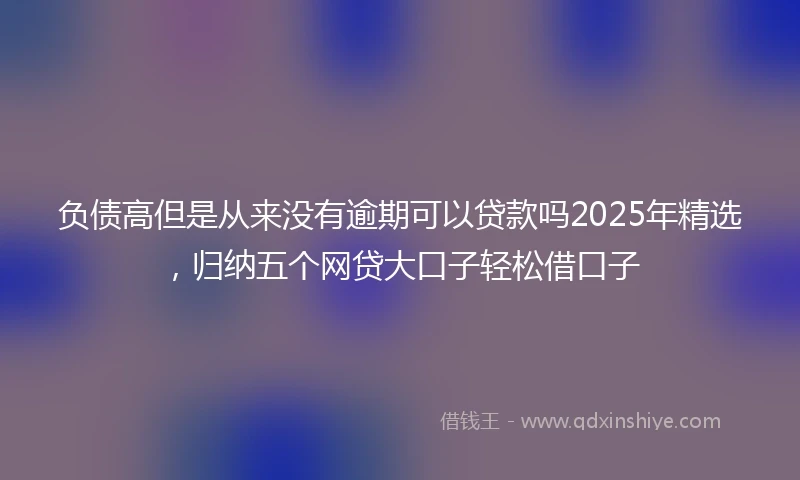 负债高但是从来没有逾期可以贷款吗2025年精选，归纳五个网贷大口子轻松借口子