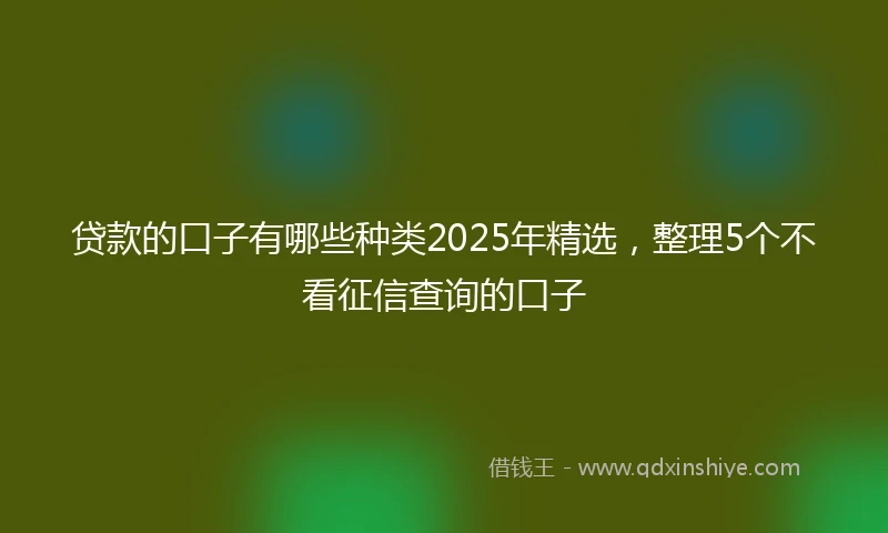 贷款的口子有哪些种类2025年精选，整理5个不看征信查询的口子