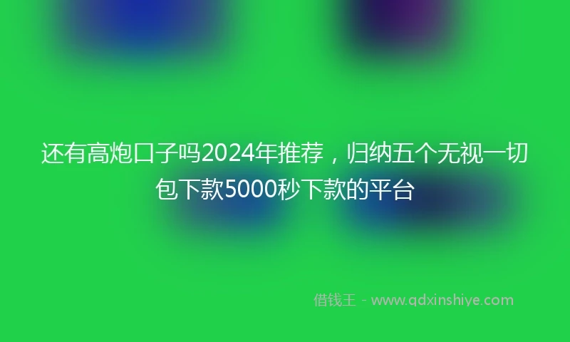 还有高炮口子吗2024年推荐，归纳五个无视一切包下款5000秒下款的平台