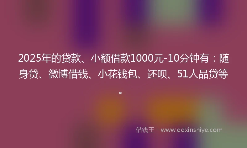 2025年的贷款、小额借款1000元-10分钟有：随身贷、微博借钱、小花钱包、还呗、51人品贷等。