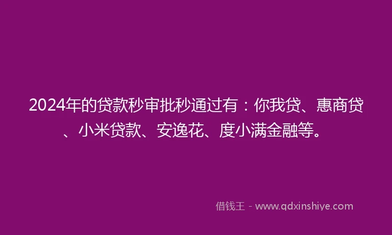 2024年的贷款秒审批秒通过有：你我贷、惠商贷、小米贷款、安逸花、度小满金融等。