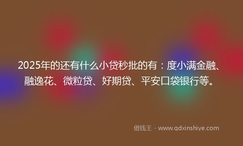 2025年的还有什么小贷秒批的有：度小满金融、融逸花、微粒贷、好期贷、平安口袋银行等。
