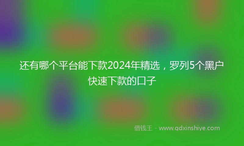 还有哪个平台能下款2024年精选，罗列5个黑户快速下款的口子