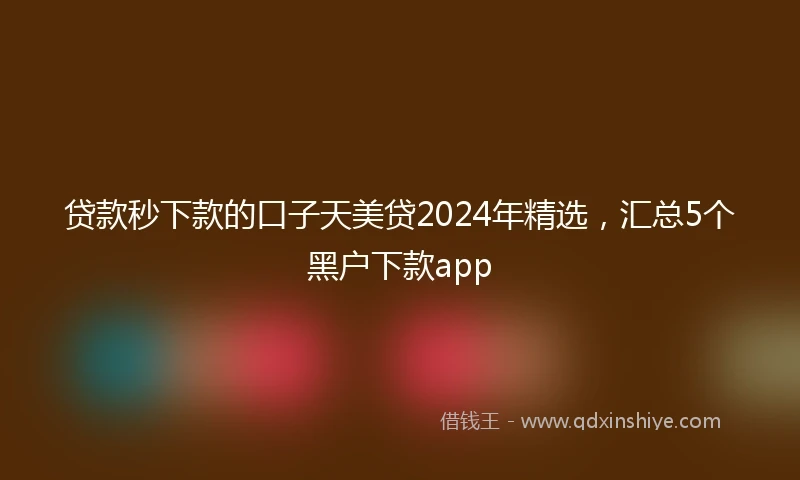 贷款秒下款的口子天美贷2024年精选，汇总5个黑户下款app