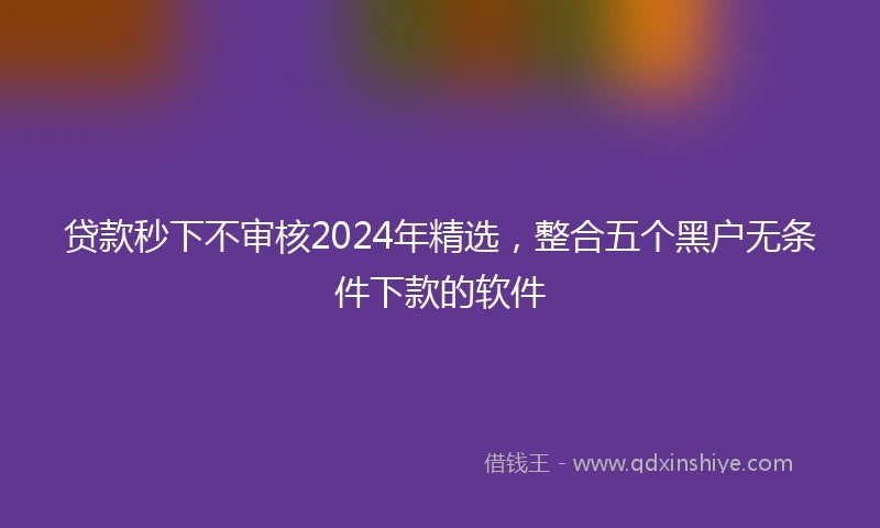 贷款秒下不审核2024年精选，整合五个黑户无条件下款的软件