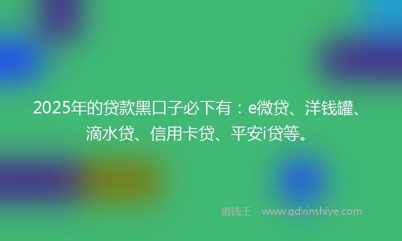 2025年的贷款黑口子必下有：e微贷、洋钱罐、滴水贷、信用卡贷、平安i贷等。