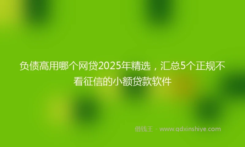 负债高用哪个网贷2025年精选，汇总5个正规不看征信的小额贷款软件