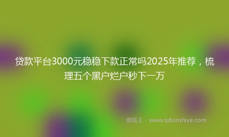 贷款平台3000元稳稳下款正常吗2025年推荐，梳理五个黑户烂户秒下一万