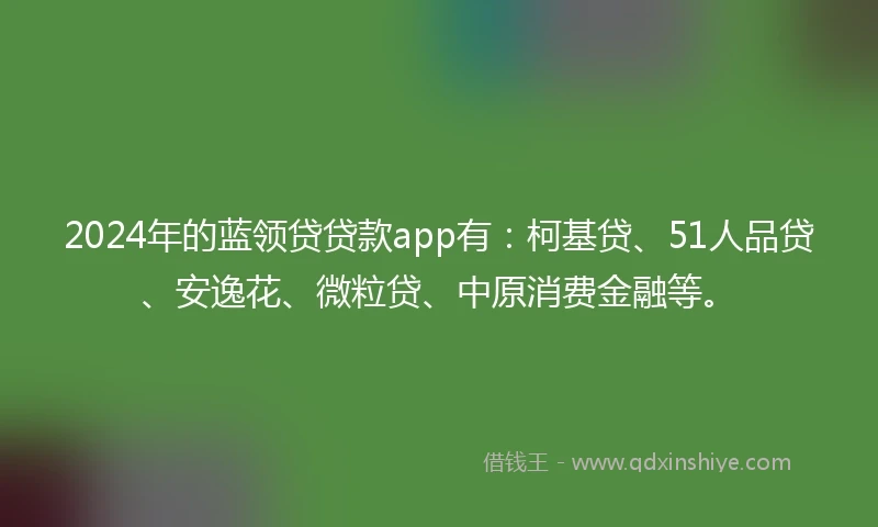 2024年的蓝领贷贷款app有：柯基贷、51人品贷、安逸花、微粒贷、中原消费金融等。