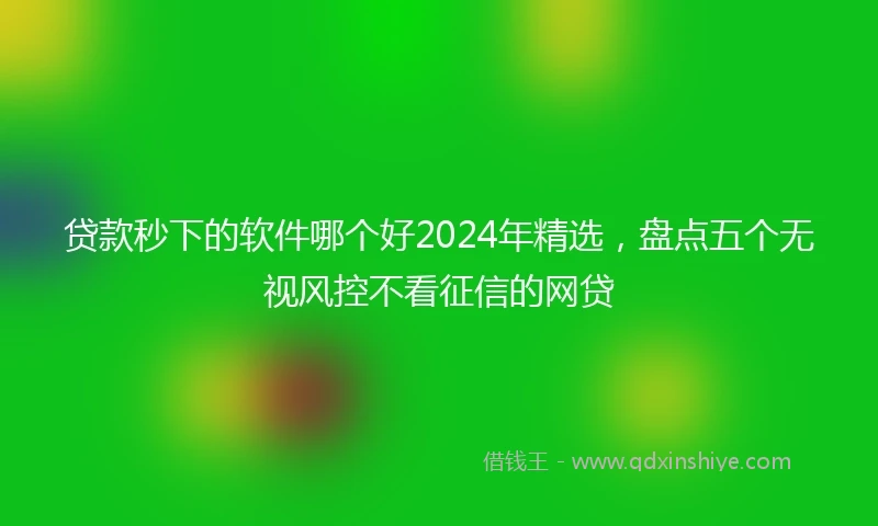 贷款秒下的软件哪个好2024年精选，盘点五个无视风控不看征信的网贷