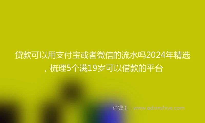 贷款可以用支付宝或者微信的流水吗2024年精选，梳理5个满19岁可以借款的平台