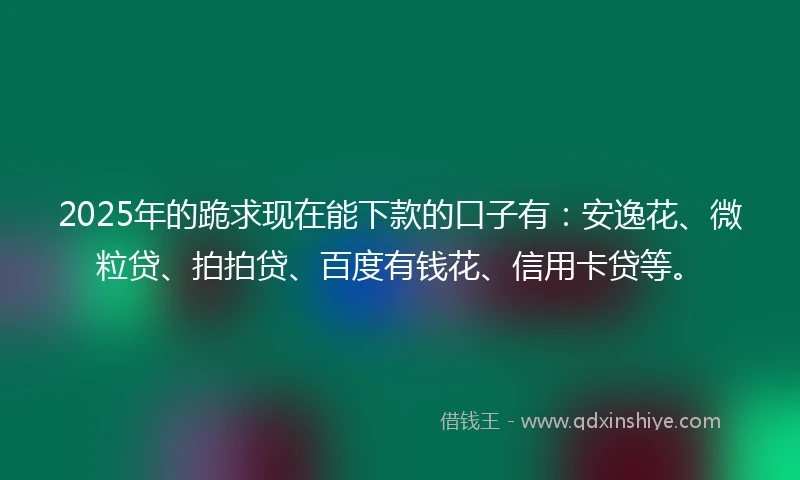 2025年的跪求现在能下款的口子有：安逸花、微粒贷、拍拍贷、百度有钱花、信用卡贷等。
