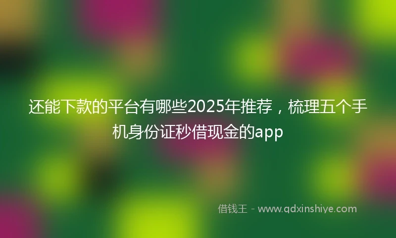 还能下款的平台有哪些2025年推荐，梳理五个手机身份证秒借现金的app
