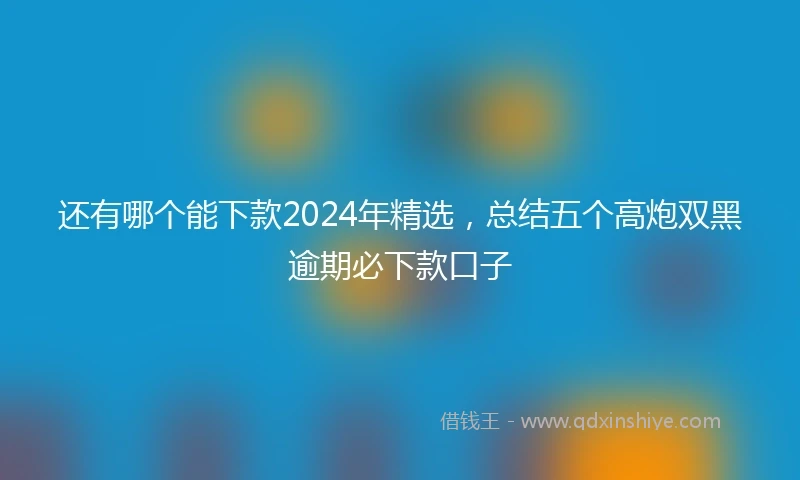 还有哪个能下款2024年精选，总结五个高炮双黑逾期必下款口子