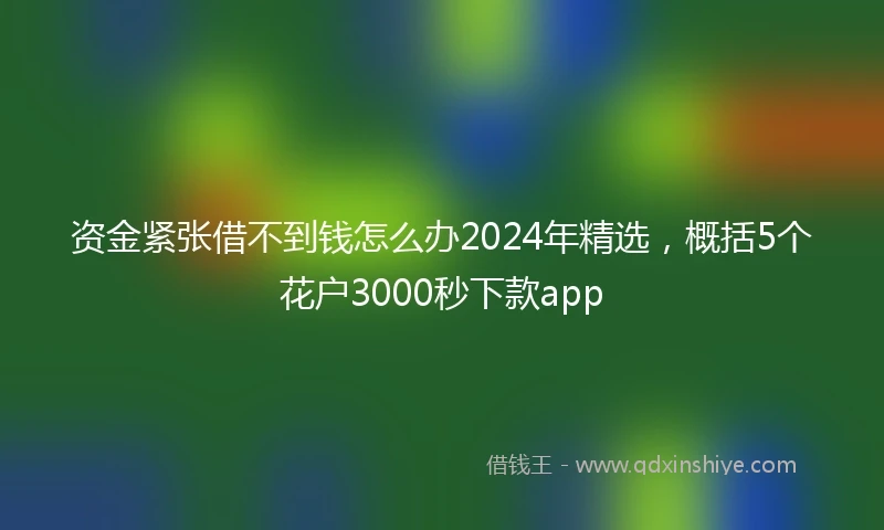 资金紧张借不到钱怎么办2024年精选,概括5个花户3000秒下款app