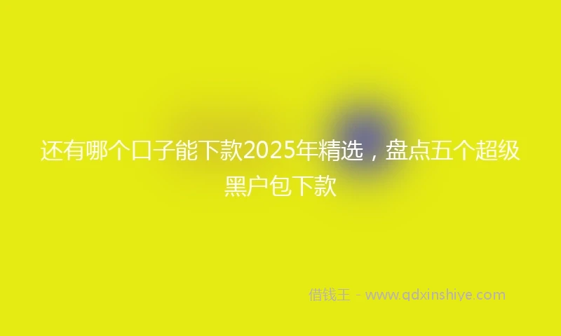 还有哪个口子能下款2025年精选，盘点五个超级黑户包下款