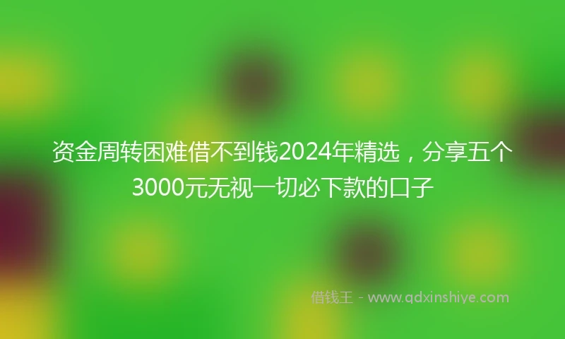 资金周转困难借不到钱2024年精选，分享五个3000元无视一切必下款的口子