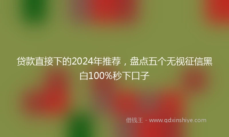 贷款直接下的2024年推荐，盘点五个无视征信黑白100%秒下口子