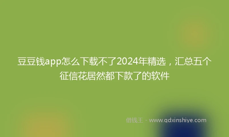 豆豆钱app怎么下载不了2024年精选，汇总五个征信花居然都下款了的软件