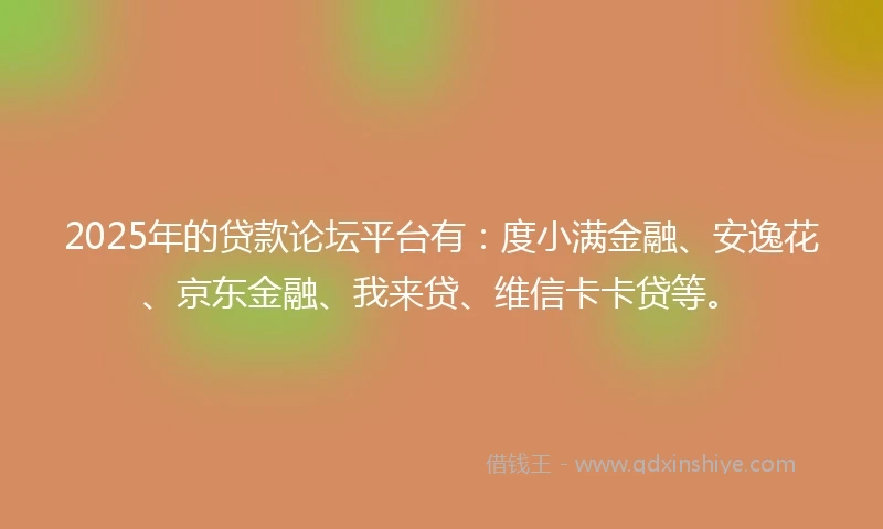 2025年的贷款论坛平台有：度小满金融、安逸花、京东金融、我来贷、维信卡卡贷等。