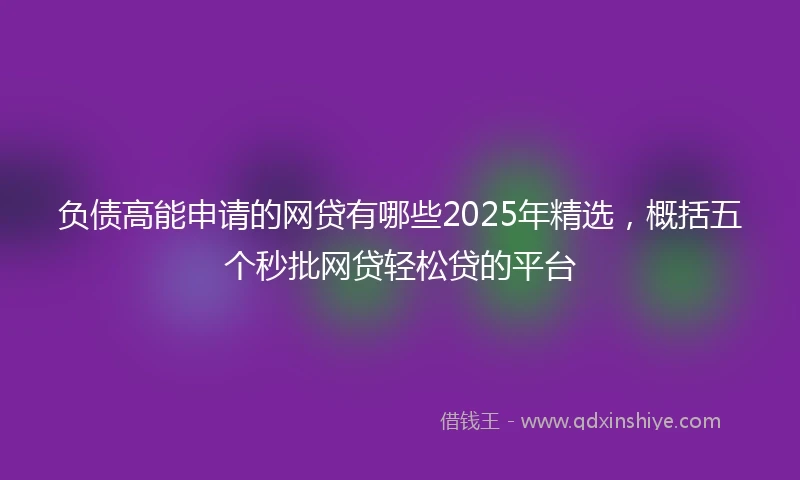 负债高能申请的网贷有哪些2025年精选，概括五个秒批网贷轻松贷的平台