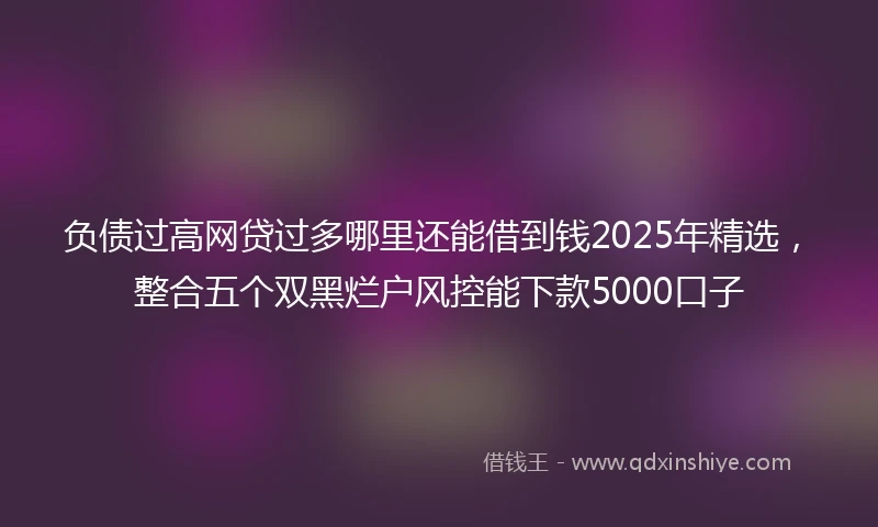 负债过高网贷过多哪里还能借到钱2025年精选，整合五个双黑烂户风控能下款5000口子