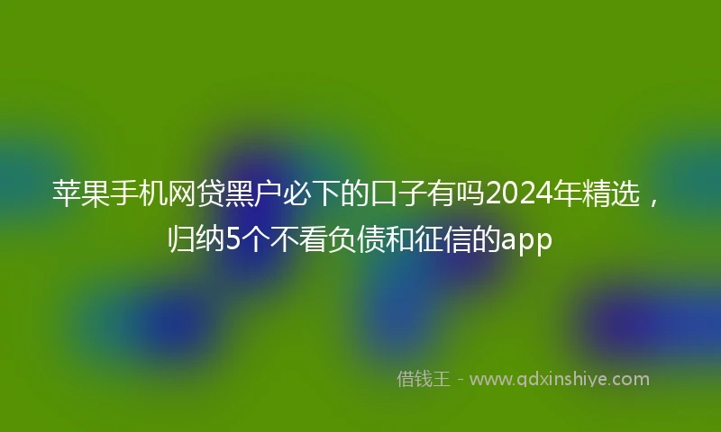 苹果手机网贷黑户必下的口子有吗2024年精选，归纳5个不看负债和征信的app