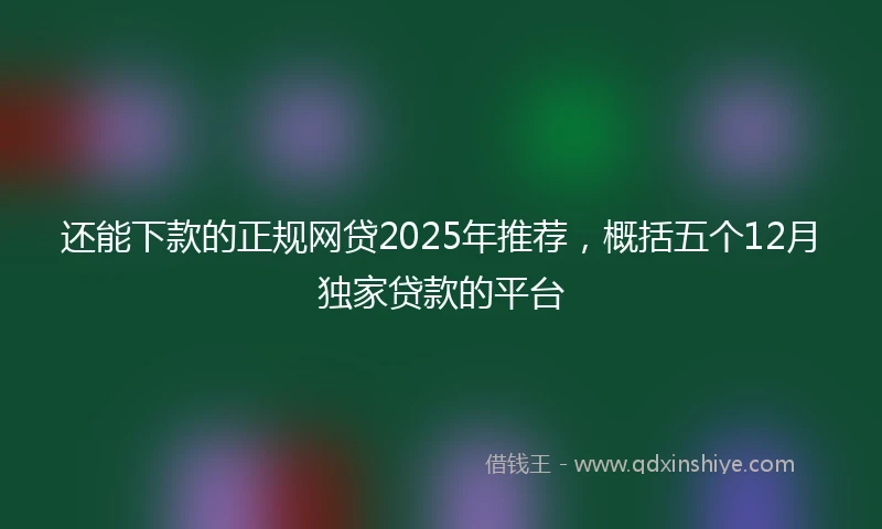 还能下款的正规网贷2025年推荐，概括五个12月独家贷款的平台