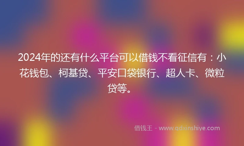 2024年的还有什么平台可以借钱不看征信有：小花钱包、柯基贷、平安口袋银行、超人卡、微粒贷等。