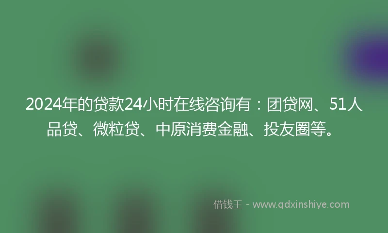 2024年的贷款24小时在线咨询有：团贷网、51人品贷、微粒贷、中原消费金融、投友圈等。