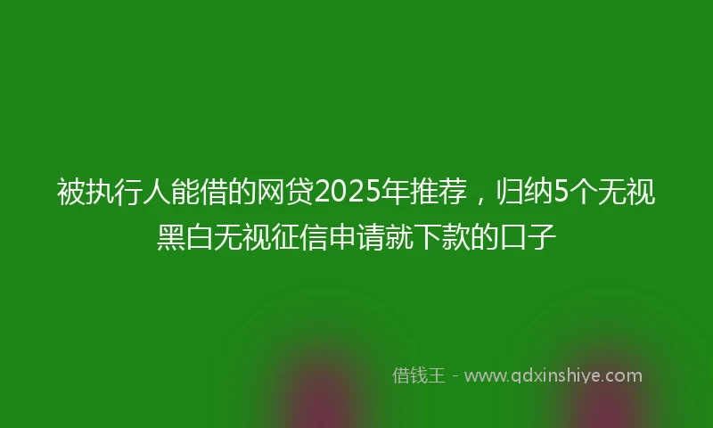被执行人能借的网贷2025年推荐，归纳5个无视黑白无视征信申请就下款的口子