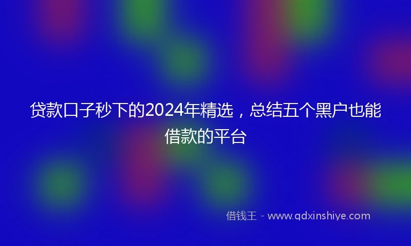 贷款口子秒下的2024年精选，总结五个黑户也能借款的平台