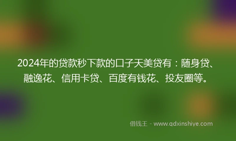 2024年的贷款秒下款的口子天美贷有：随身贷、融逸花、信用卡贷、百度有钱花、投友圈等。