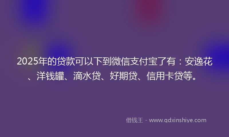 2025年的贷款可以下到微信支付宝了有：安逸花、洋钱罐、滴水贷、好期贷、信用卡贷等。