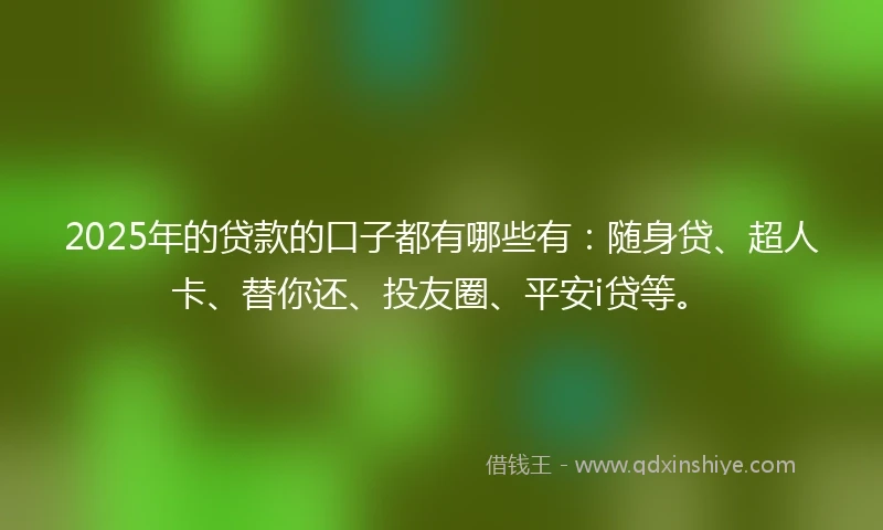 2025年的贷款的口子都有哪些有：随身贷、超人卡、替你还、投友圈、平安i贷等。