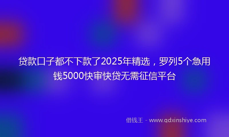 贷款口子都不下款了2025年精选，罗列5个急用钱5000快审快贷无需征信平台
