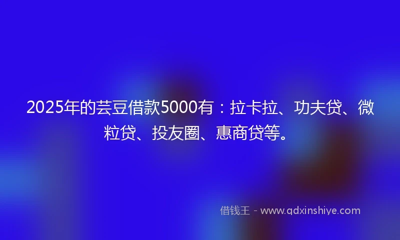 2025年的芸豆借款5000有：拉卡拉、功夫贷、微粒贷、投友圈、惠商贷等。