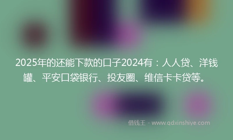 2025年的还能下款的口子2024有：人人贷、洋钱罐、平安口袋银行、投友圈、维信卡卡贷等。