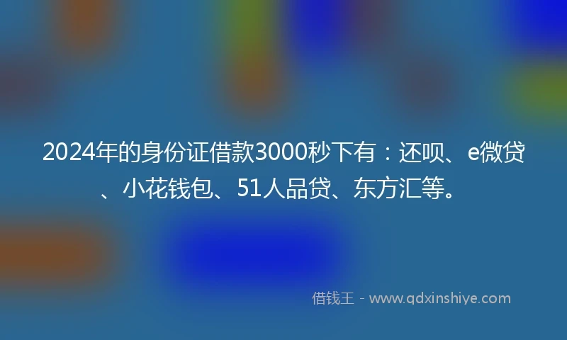 2024年的身份证借款3000秒下有：还呗、e微贷、小花钱包、51人品贷、东方汇等。