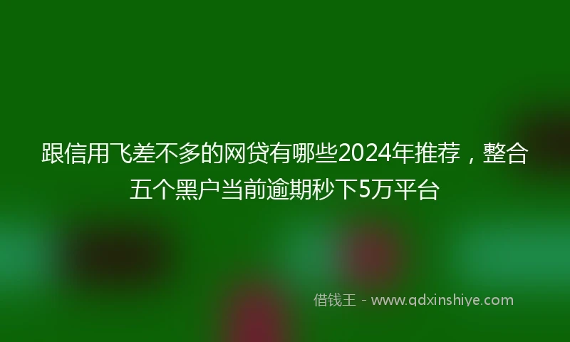 跟信用飞差不多的网贷有哪些2024年推荐，整合五个黑户当前逾期秒下5万平台