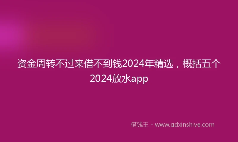 资金周转不过来借不到钱2024年精选，概括五个2024放水app