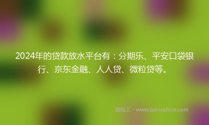 2024年的贷款放水平台有:分期乐、平安口袋银行、京东金融、人人贷、微粒贷等。