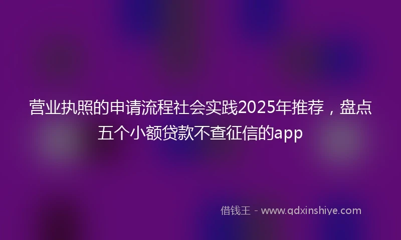营业执照的申请流程社会实践2025年推荐，盘点五个小额贷款不查征信的app