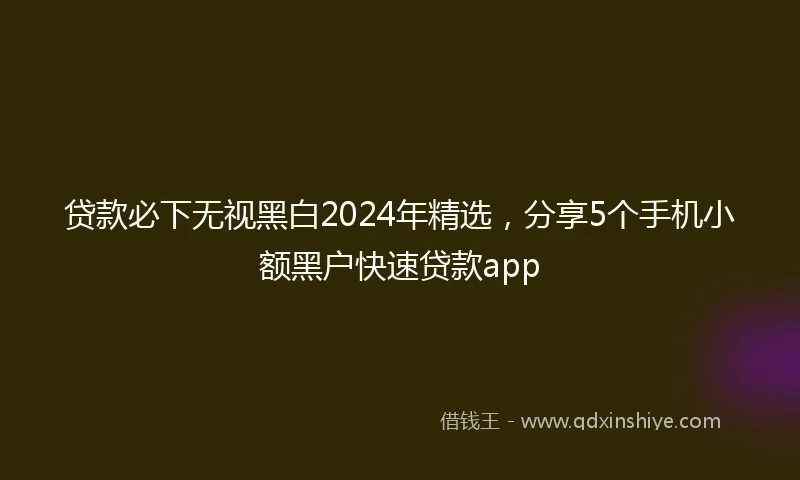 贷款必下无视黑白2024年精选,分享5个手机小额黑户快速贷款app