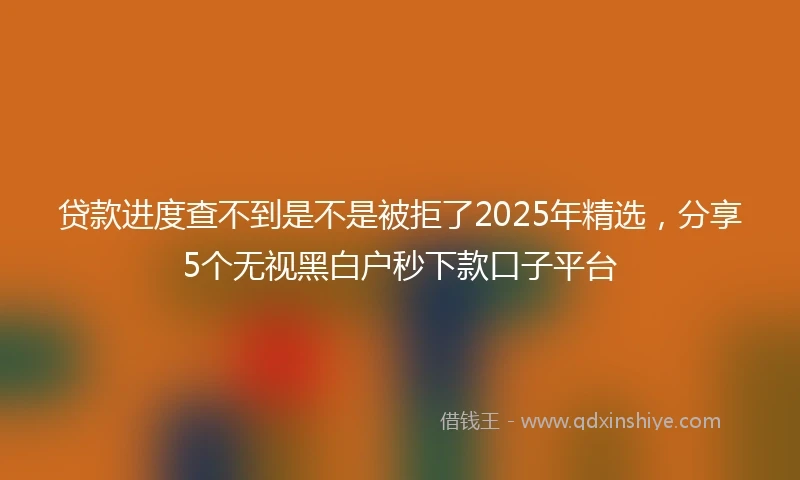 贷款进度查不到是不是被拒了2025年精选，分享5个无视黑白户秒下款口子平台